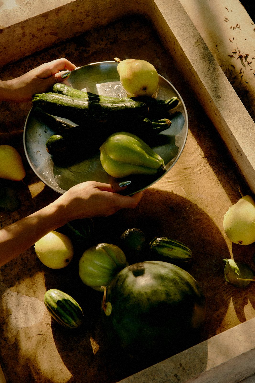 Hands holding a bowl of cucumbers and pears